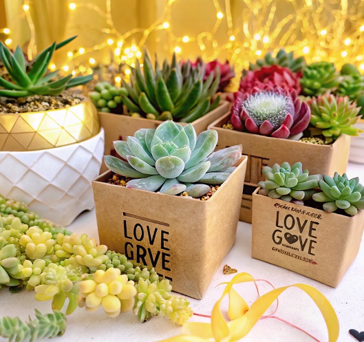 מוצרים פרקטיים לעובדים – שדרוג יומיומי